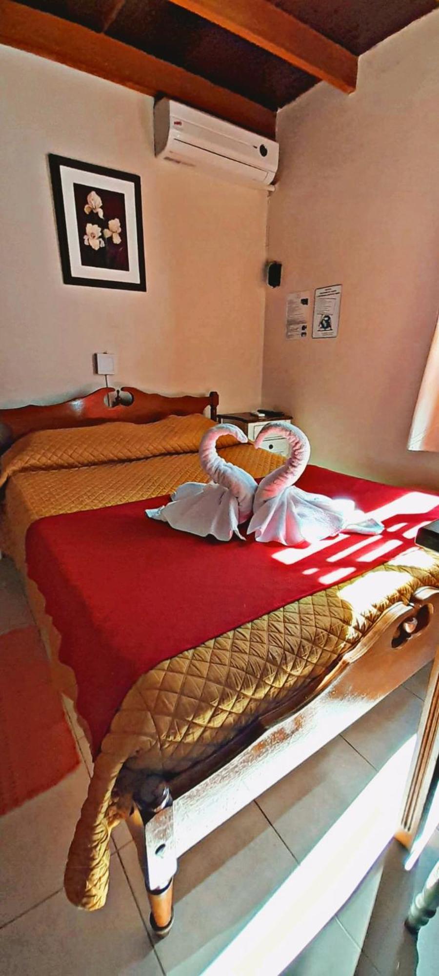 Apart Hotel Geminis Termas del Dayman Exterior photo